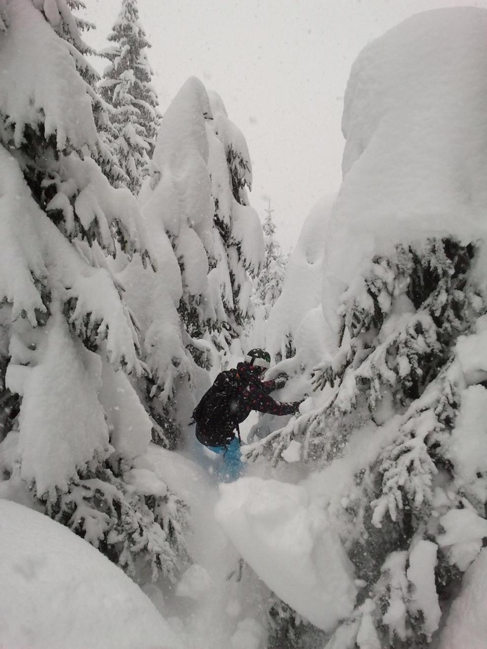 Alpenferienwohnung Strickner Neustift im Stubaital Extérieur photo
